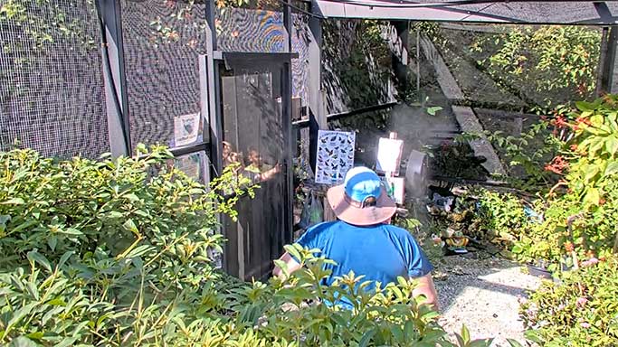 Tom Allen Butterfly House