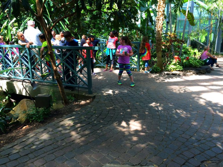 Meijer Gardens tropical conservatory 1 768x576